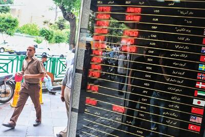 مجلس ضامن ثبات نظام ارزی؟