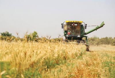 خبر خوش رئیس‌جمهور به گندمکاران