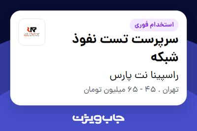  استخدام سرپرست تست نفوذ شبکه در راسپینا نت پارس