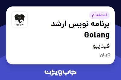  استخدام برنامه نویس ارشد Golang در فیدیبو