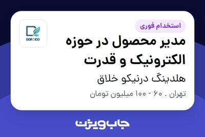  استخدام مدیر محصول در حوزه الکترونیک و قدرت - آقا در هلدینگ درنیکو خلاق