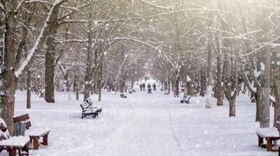 بارش برف و باران در تهران - مردم سالاری آنلاین