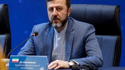 غریب‌آبادی: پاسخ ایران به هر تجاوزی، قاطع و پشیمان‌کننده خواهد بود - مردم سالاری آنلاین