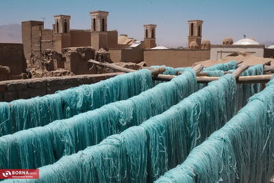 عکس های منتخب ایران، سه شنبه 30 دی 1404