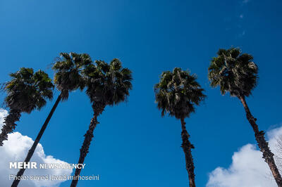 هوای ۲۲ شهر خوزستان در وضعیت سالم