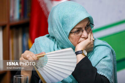 توهم توطئه به سبک رئیس جبهه اصلاحات!/ ادعای بامزه سوءقصد به آذر منصوری