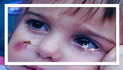  آیا سالک برگشته است؟