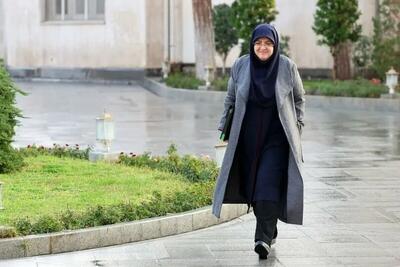 مهاجرانی: رئیس جمهور در مورد افزایش قیمت خودرو دستور بررسی داده است