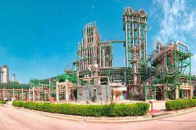 طوفان درآمدی در «جم پیلن»؛ رشد ۱۰۶ درصدی فروش در دی‌ماه