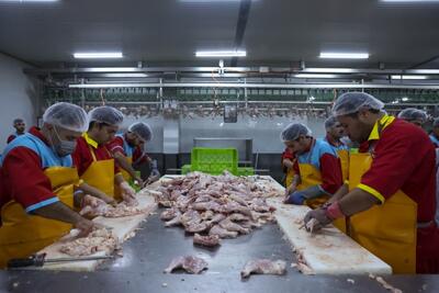  توزیع ۸۵۰ تُن گوشت و مرغ مازندران در تهران و استان‌های همجوار