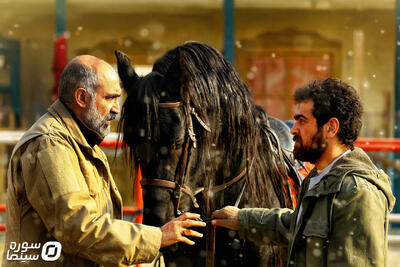 «ناتور دشت» به اکران آنلاین رسید - سوره سینما