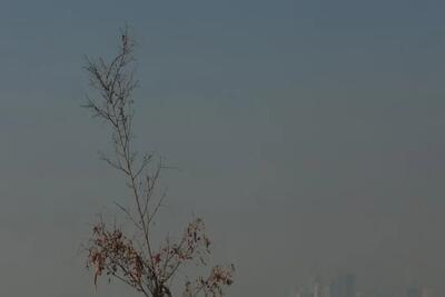 افزایش دما همراه با آلودگی هوا در تهران