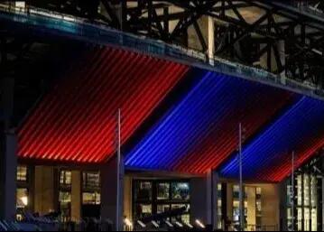  ویدیوی وایرال: حمله موش‌ها به نوکمپ!