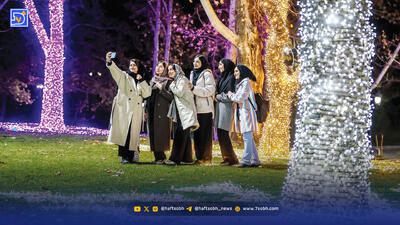 درختان هم بی‌خوابی گرفتند