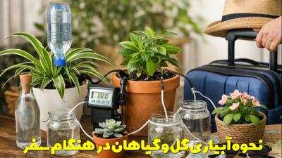  نحوه آبیاری گل و گیاهان در هنگام سفر | در مسافرت گل هام رو چیکار کنم؟