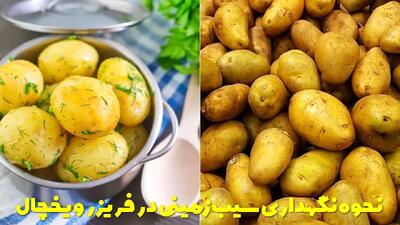  بهترین نحوه نگهداری سیب زمینی آب پز و خام در فریزر و یخچال