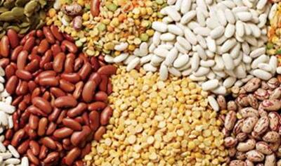 آتش در بازار خودرو / قیمت محصولات ایران خودرو و سایپا امروز ۹ بهمن‌ماه ۱۴۰۴ / رشد پرشتاب قیمت خودروهای پرفروش در بازار + جدول