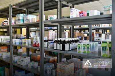 «دشیری» به درآمد 313 میلیارد تومانی رسید