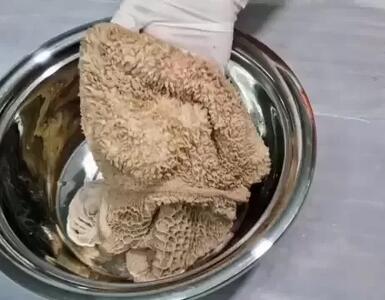  آموزش پاک کردن سیرابی / بهترین روش پاک کردن سیرابی بدون بو با تمام نکات !