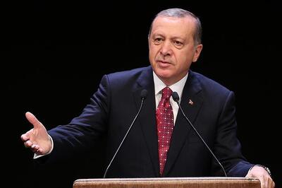 سفر اردوغان به مصر و عربستان برای بررسی تحولات سوریه و فلسطین