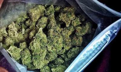 کشف ۴۴کیلوگرم «گُل» توسط پلیس پایتخت