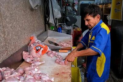 کاهش قیمت مرغ در بازار | هر کیلو مرغ گرم ۲۱۰ هزار تومان شد