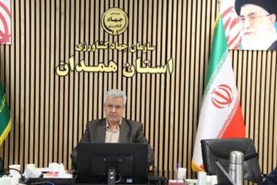  جهاد کشاورزی همدان برای سومین سال پیاپی اول کشور شد