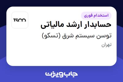  استخدام حسابدار ارشد مالیاتی در توسن سیستم شرق (تسکو)