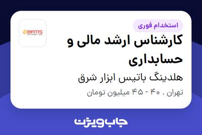  استخدام کارشناس ارشد مالی و حسابداری در هلدینگ باتیس ابزار شرق