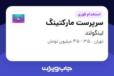  استخدام سرپرست مارکتینگ در لینگولند