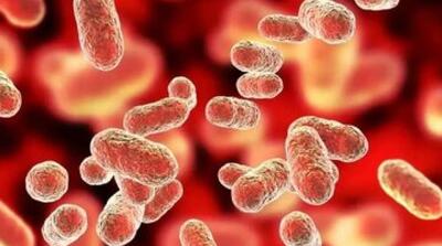 سن ابتلا به کدام سرطان‌ها در ایران در حال کاهش است - مردم سالاری آنلاین