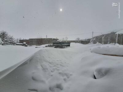 فیلم/ بارش سنگین برف در سی‌سخت