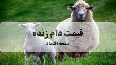 قیمت دام زنده امروز پنجشنبه ۹ بهمن ۱۴۰۴