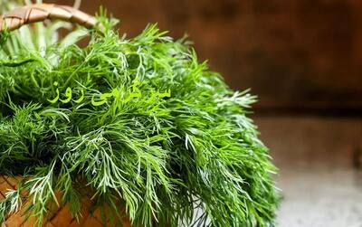  این سبزی همه‌کاره باعث کاهش قند، چربی خون و تقویت بدن و ضد سرطان است