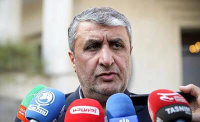 واکنش رئیس سازمان انرژی اتمی به حضور ناو آبراهام لینکن در خلیج‌فارس