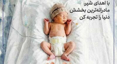 بانک شیر مادر شمال کشور را بیشتر بشناسیم