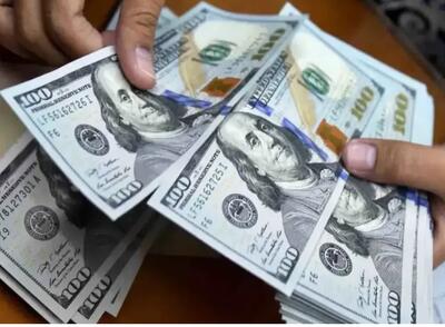 خبر مهم برای بازار ارز/ تصمیم فوری ارزی بانک مرکزی اعلام شد + جزییات