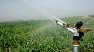  کردستان در مسیر اجرای سامانه‌های نوین آبیاری و کشاورزی پایدار ‏