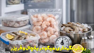  بهترین روش نگهداری میگو در یخچال و فریزر + مدت زمان نگهداری