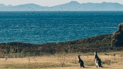  یک وب‌سایت گردشگری ساخته‌شده با هوش مصنوعی گردشگران را به چشمه آب‌گرم خیالی فرستاد