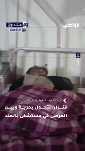 ویدئوی جنجالی از حضور موش‌ها در بخش ارتوپدی یک بیمارستان