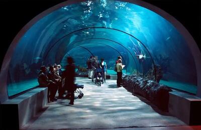  «ذهن آبی» چطور استرس را کاهش می‌دهد؟