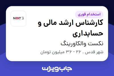  استخدام کارشناس ارشد مالی و حسابداری در نکست والکاورینگ