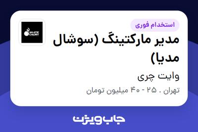  استخدام مدیر مارکتینگ (سوشال مدیا) - خانم در وایت چری
