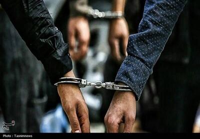 بازداشت ۸۵ عامل اصلی میدانی و تخریب‌گر اموال مردم زنجان