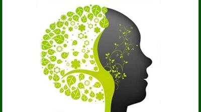 میگنا - عمل‌گرایی در روانشناسی مثبت