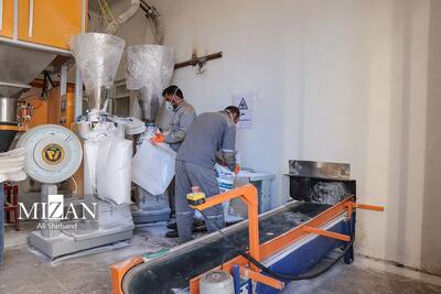 توانمندسازی محرومان با تعیین سهمیه وام اشتغال مددجویان از سوی مجلس