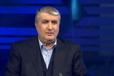 اسلامی: درمان، سلامت و امنیت غذایی اولویت‌ سازمان انرژی اتمی ایران است