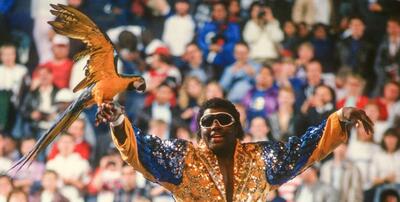 آشنایی با کوکو بی ور، کشتی‌گیری طوطی به دست؛ از تماشای فیلم «باران بنفش» تا هم‌زیستی مسالمت‌آمیز با مکائو - پارس فوتبال