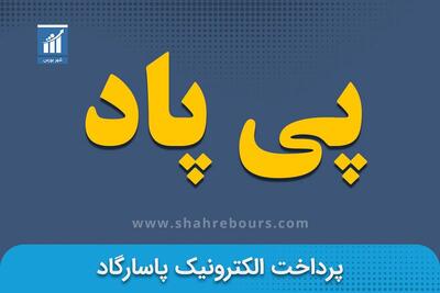 جهش ۵۰ درصدی درآمد پی پاد در ماه نخست سال مالی